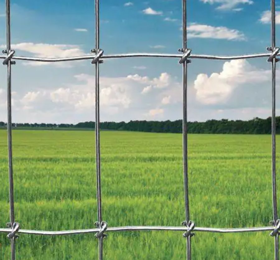 The third type of the field fence is No climb horse fence (2)